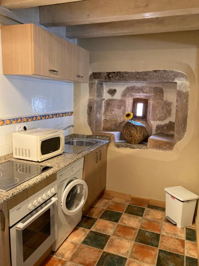 Agotxenea. Precioso Apartamento Rural En El Baztan Maya del Baztán Εξωτερικό φωτογραφία